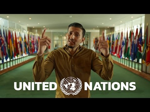 What is the United Nations?