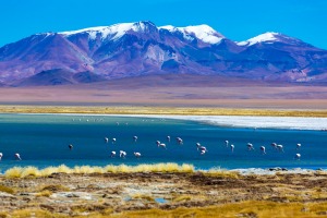 Atacama Desert in Chile, South America. Shutterstock