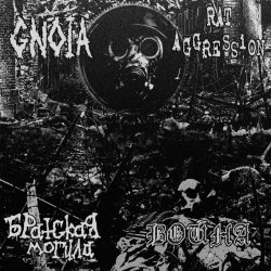 Gnoia / Rat aggression /   /  - 4 way split (2016)