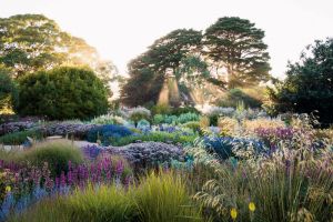 Dreamscapes: Inspiration and beauty in gardens near and far by Claire Takacs Mt Macedon