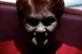 One Nation Senator Pauline Hanson during debate on the Marriage Amendment Bill in the Senate, at Parliament House in ...