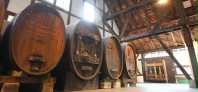 Viniculture Museum