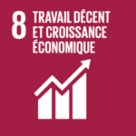 SDG 8