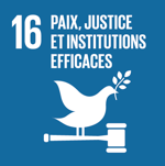 SDG 16