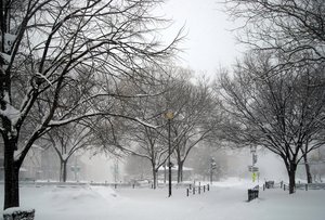 High winds and blowing snow in Dupont Circle, Washington, D.C. on February 10. Massachusetts Avenue, N.W., is visible on the right.