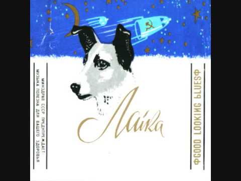 Laika - "Black Cat Bone"