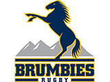 Brumbies