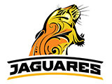 Jaguares