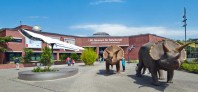 LWL Museum of Natural History with Planetarium