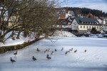 smSchonach im Schwarzwald: panorama view