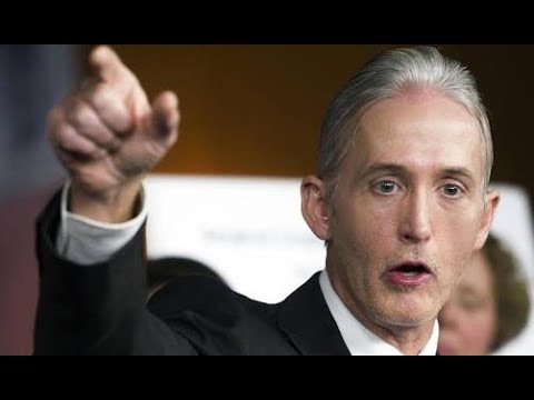 Trey Gowdy ŠHÓĆKĚĎ The Entire Congress With This Striking Truth