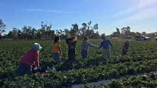 Wx-ventura-county-farmworkers-wildfires-masks