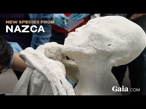 SPECIAL REPORT: UNEARTHING NAZCA | Only on Gaia.com!