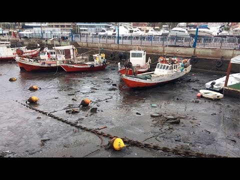 Something big is going to Happen? Ocean mysteriously recedes from various beaches in Latin America