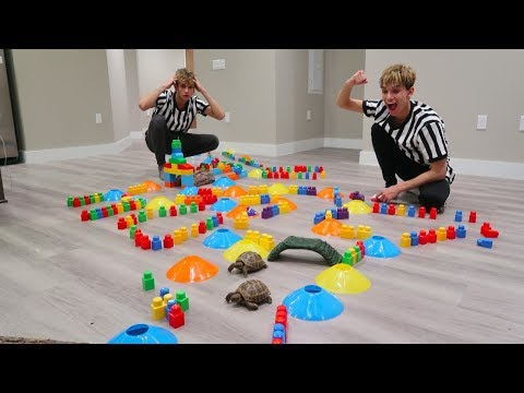 TURTLE vs. TURTLE OBSTACLE COURSE RACE!