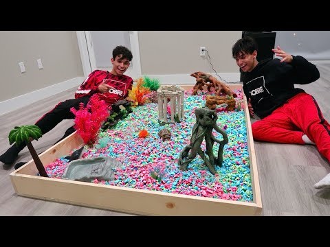 BUILDING OUR TURTLE HER DREAM HOME!