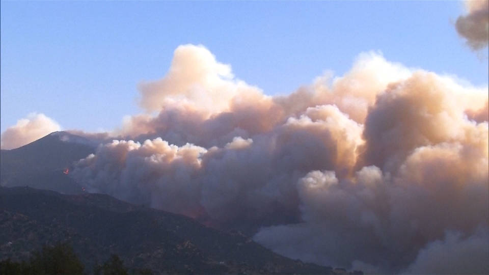 H11 cali fire