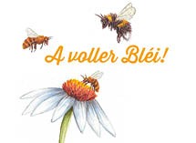 A voller Blei 215×1572