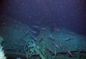 In this undated image provided by the Australian Department of Defense fish swim around the helm of the Australian submarine HMAS AE1 off the coast of the Papua New Guinea island of New Britain.