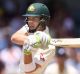 Safe hands: Tim Paine has been in good form with the bat, and with the gloves.