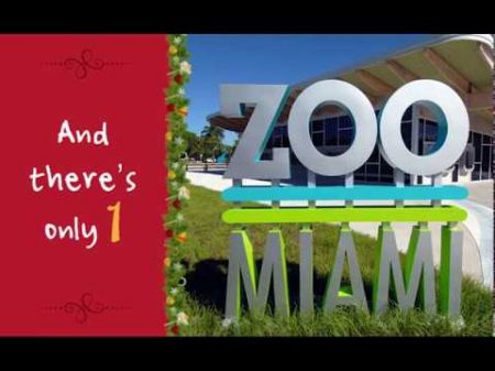 Family friendly events in Miami and Ft. Lauderdale for New Year&#039;s Eve 2017