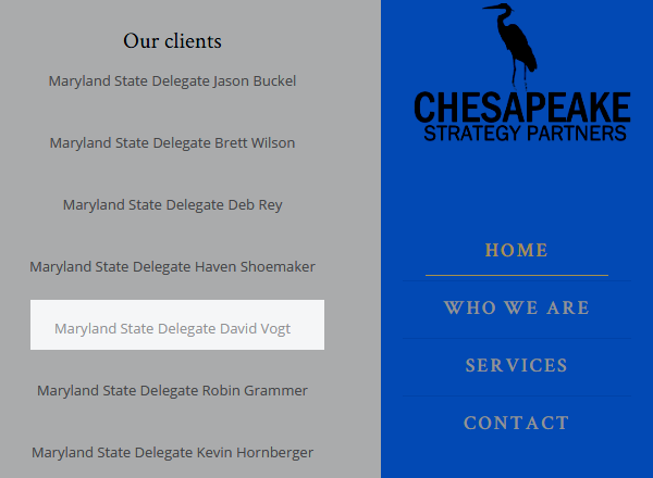 Chesapeake Strategy Partners screen capture