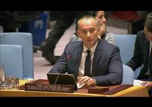 Will Palestine Request Full UN Membership in January 2018?