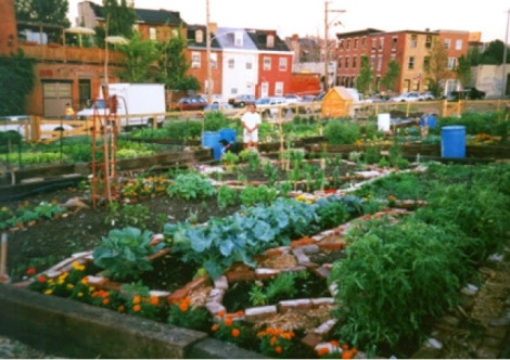 Community garden