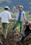 Cuban farmers planting sweet potato crop.