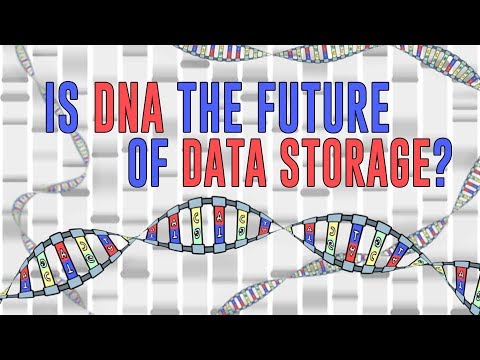 Is DNA the future of data storage? - Leo Bear-McGuinness