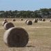 Hay bales have been catching alight across Victoria - and it's all because of spontaneous combustion.