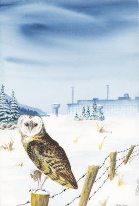 owl with mouse in winter - print quality