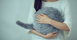 The cat pillow you've always wanted is now available for pre-order