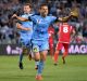 Golden touch: Bobo celebrates another goal for Sydney FC.