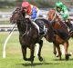 Bonus hunter: Pierata takes out  the Winning Rupert Plate at Doomben.