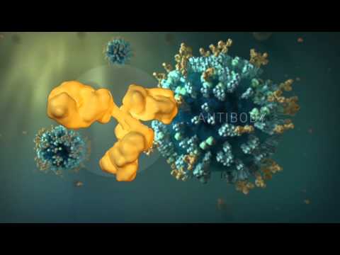 FluFacts: Dynamic 3D Visualizations of Seasonal Influenza