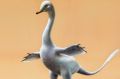 Halszkaraptor escuilliei, about 45 centimetres tall, had a bill like a duck, a swan-like neck and killer claws.