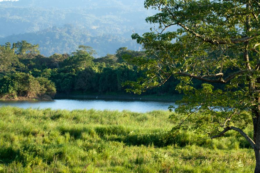 Kaziranga National Park