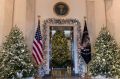 It's time to put up the Christmas tree ... Donald Trump has already had the Blue Room decorated in the White House.