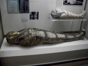 Mummies from the Ancient Egypt exhibit, Carnegie Museum of Natural History