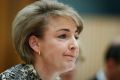 Employment Minister Senator Michaelia Cash during a Senate estimates hearing in October.