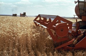 File - Modern machinery being used to harvest a successfully cultivated wheat field in Daykin, Nebraska.