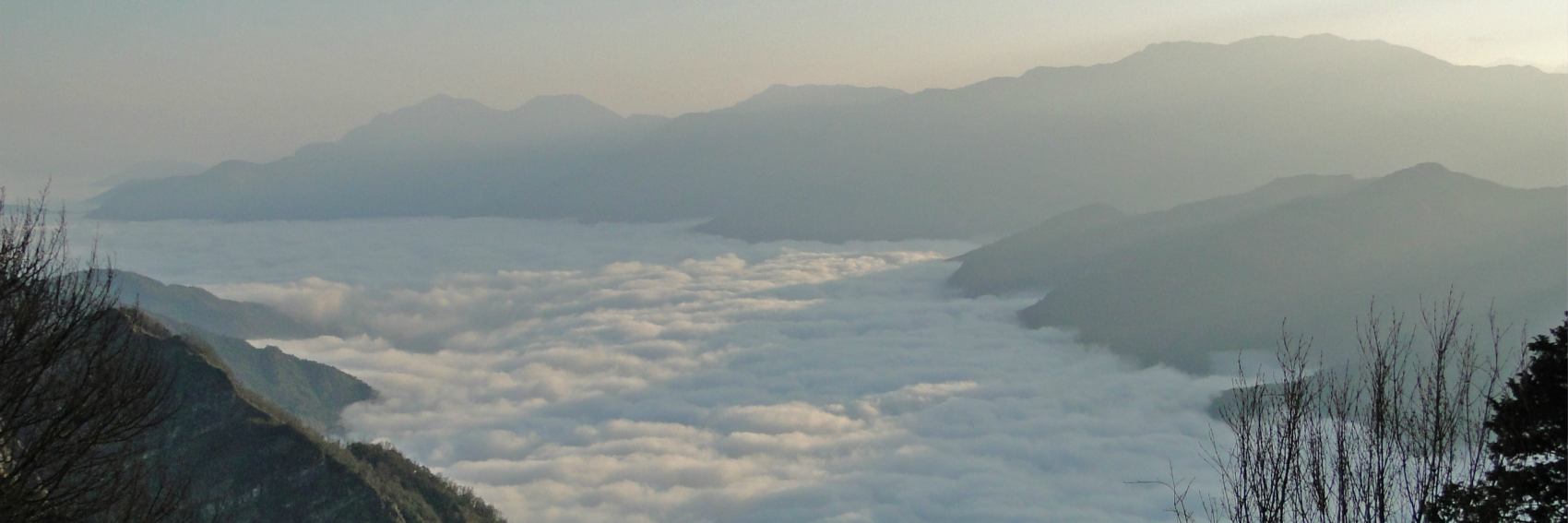 阿里山