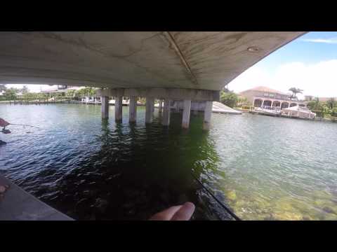 Marco Island Mangroves: Canal Fishing in Marco Island for Whatever Bites.