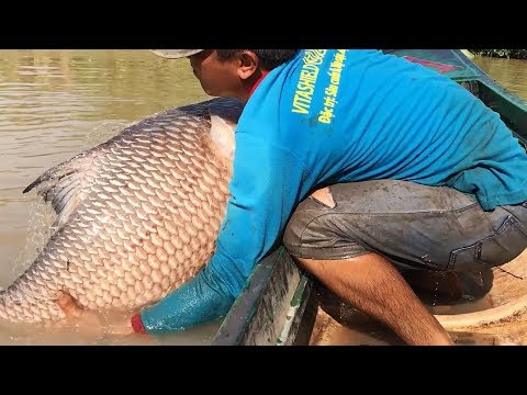 Top 4 Cast Net Fishing - Fisherman vs. River Monsters