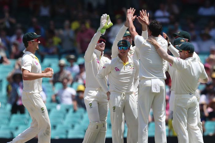 Steve Smith stands amid Australian players celebrating a wicket