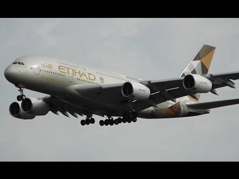 50 Minutes of Plane Spotting - New York John F. Kennedy Int'l Airport (JFK)