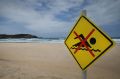 Warning signs at Frazer Beach.