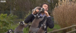 Lemurs BBC Reporter