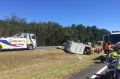 The horse was freed from the truck off the Bruce Highway.